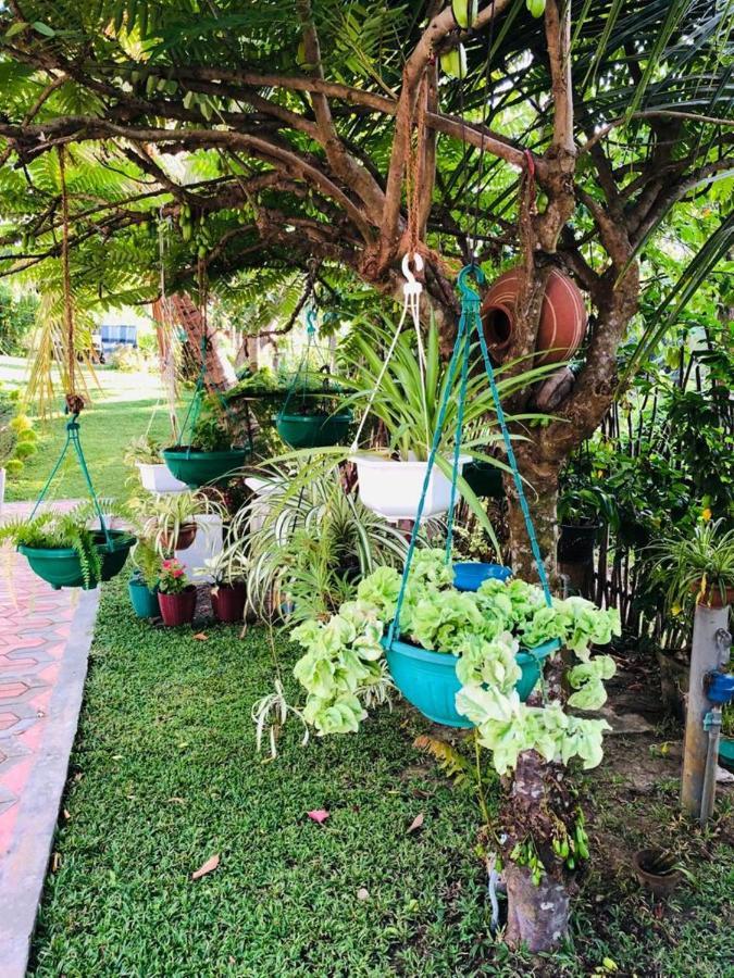 فندق Thusitha S Nest ديكويلاّ تين المظهر الخارجي الصورة